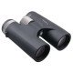 Vector Optics Paragon 10X42 Binoculars