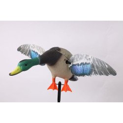 Mojo Elite Mallard Drake with Remote